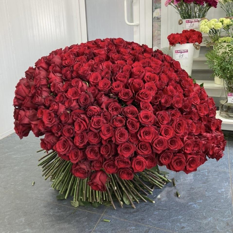 Букеты из красных роз 80 см (Эквадор) артикул букета  4848