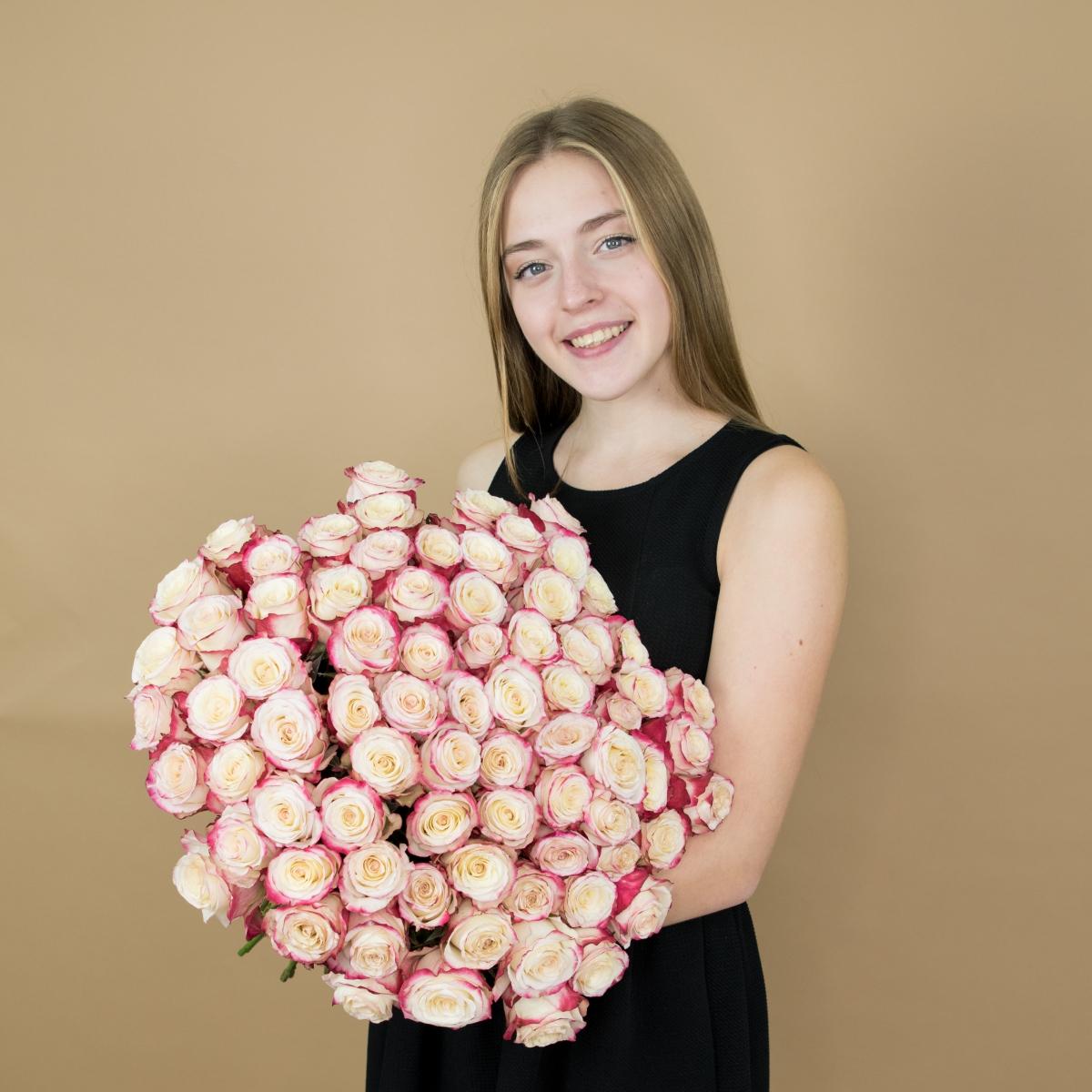 Розы красно-белые (40 см) Эквадор (№ - 12)