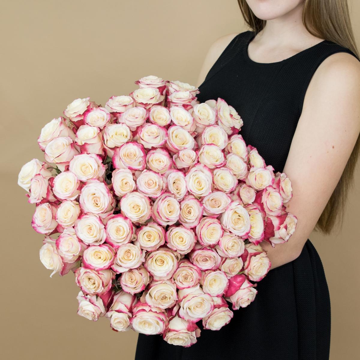 Розы красно-белые 101 шт. (40 см) код товара   2136