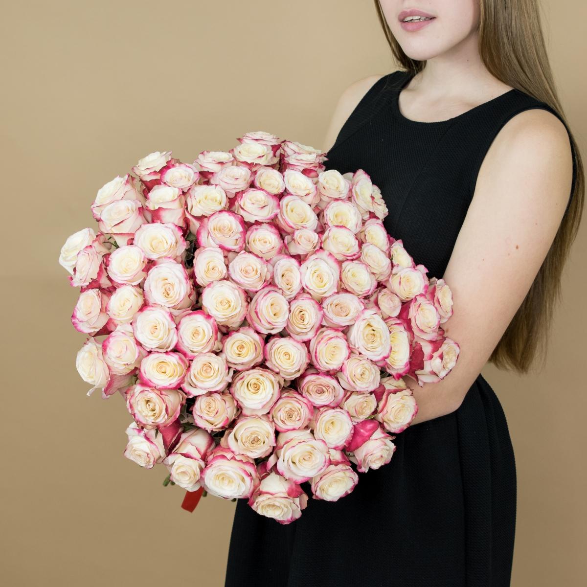 Розы красно-белые 101 шт. (40 см) код товара   2136