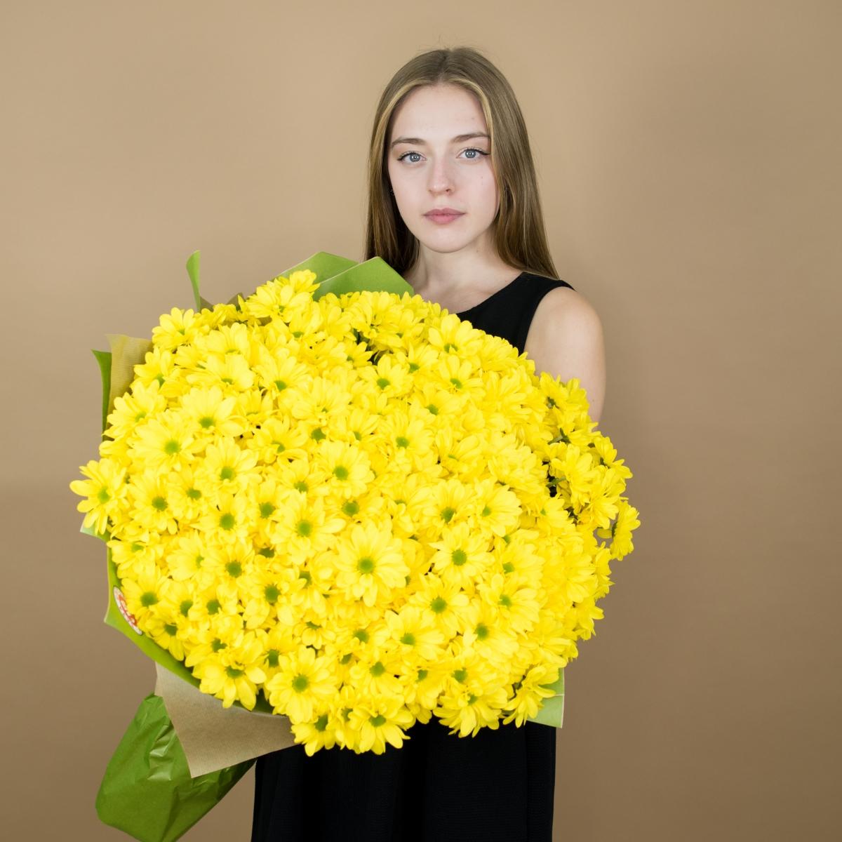 Хризантема кустовая желтая №  2212